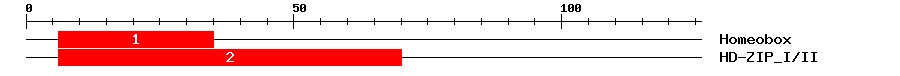 Signature Domain