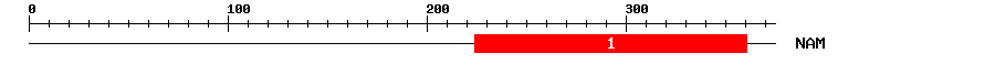 Signature Domain