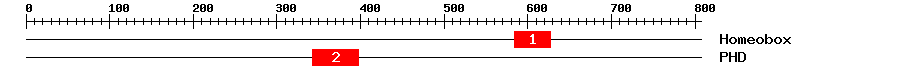 Signature Domain
