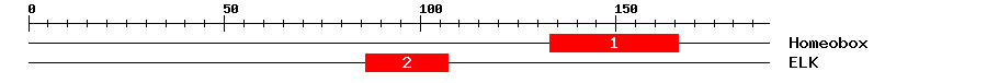 Signature Domain