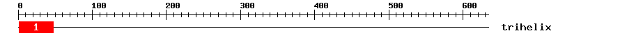 Signature Domain