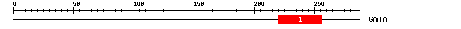Signature Domain