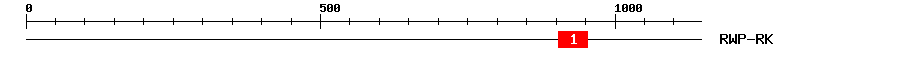 Signature Domain
