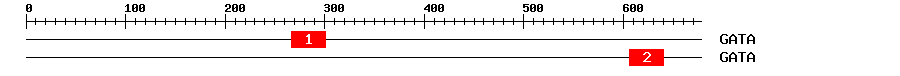 Signature Domain