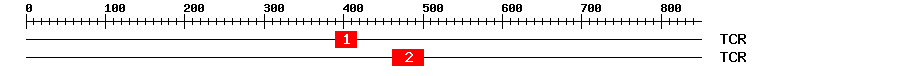 Signature Domain