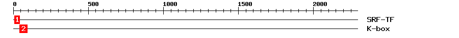 Signature Domain