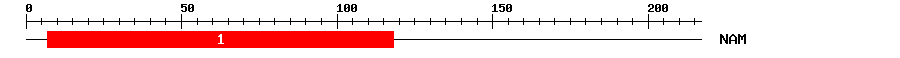 Signature Domain