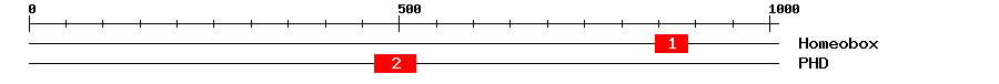 Signature Domain
