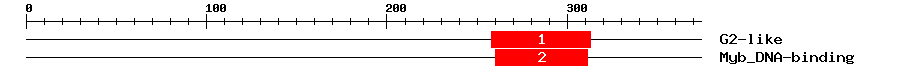 Signature Domain