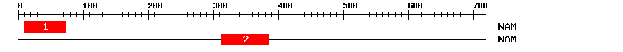 Signature Domain