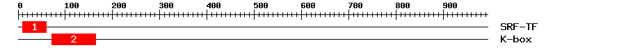 Signature Domain