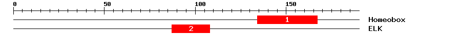 Signature Domain