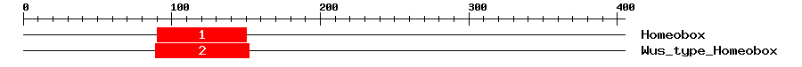 Signature Domain