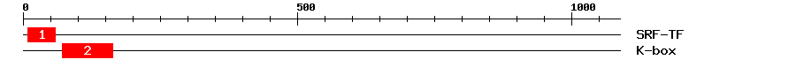 Signature Domain