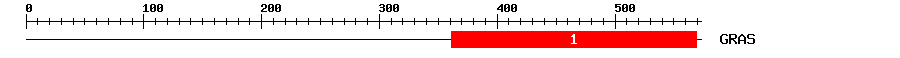 Signature Domain
