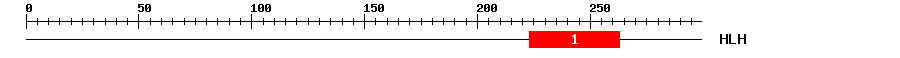 Signature Domain