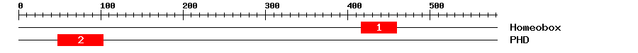 Signature Domain