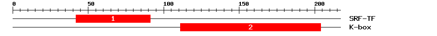 Signature Domain