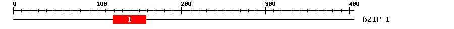 Signature Domain