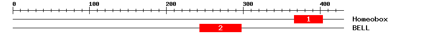 Signature Domain