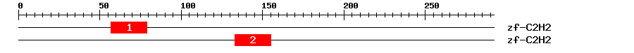 Signature Domain