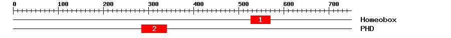 Signature Domain