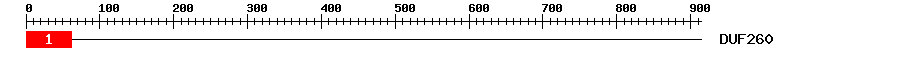 Signature Domain