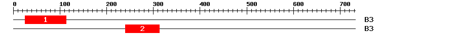 Signature Domain