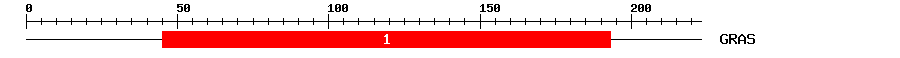 Signature Domain