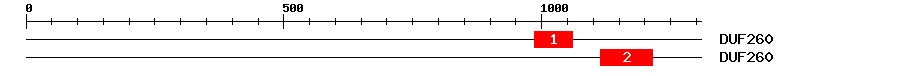 Signature Domain