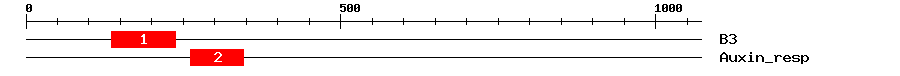 Signature Domain