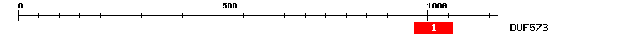 Signature Domain