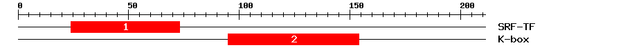 Signature Domain