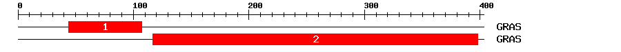 Signature Domain