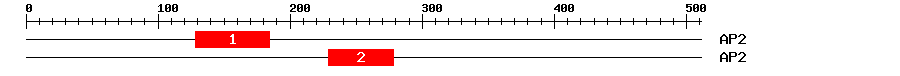 Signature Domain