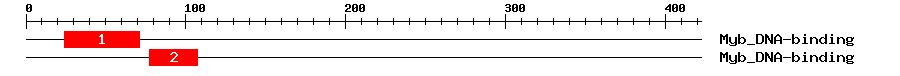 Signature Domain