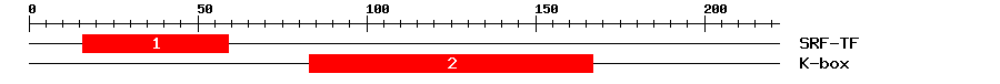 Signature Domain
