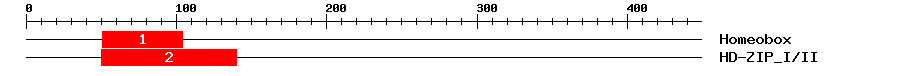 Signature Domain