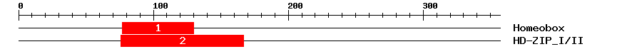 Signature Domain