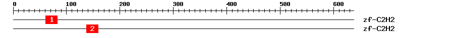 Signature Domain