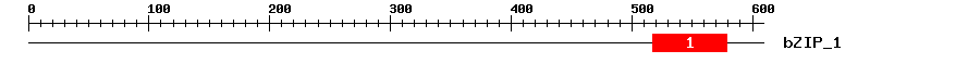 Signature Domain