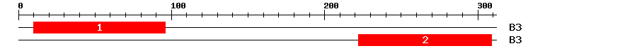 Signature Domain