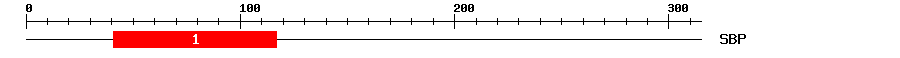 Signature Domain