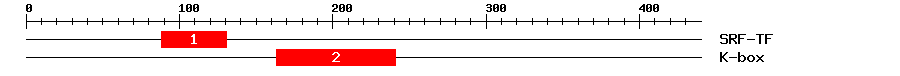 Signature Domain