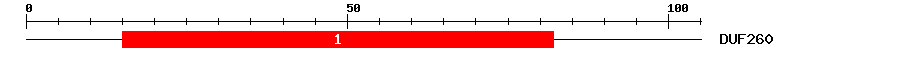 Signature Domain