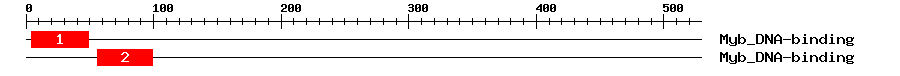 Signature Domain
