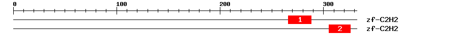 Signature Domain