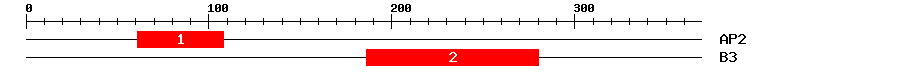 Signature Domain