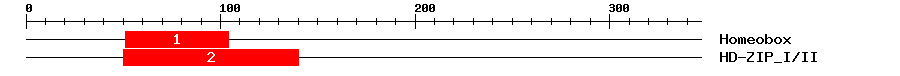 Signature Domain