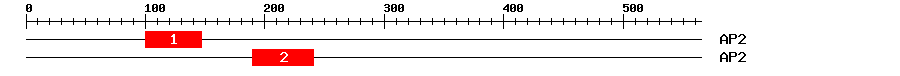 Signature Domain